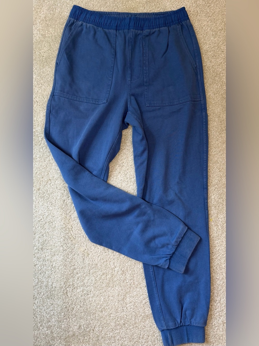 Free Assembly Blue Joggers